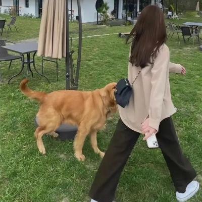 绑定第一季